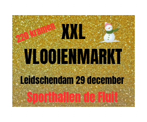 xxl vlooienmarkt leidschendam zondag 29 December 2024